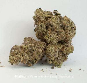 Platinum-Pave-by-Broken-Coast-2 Platinum Pave